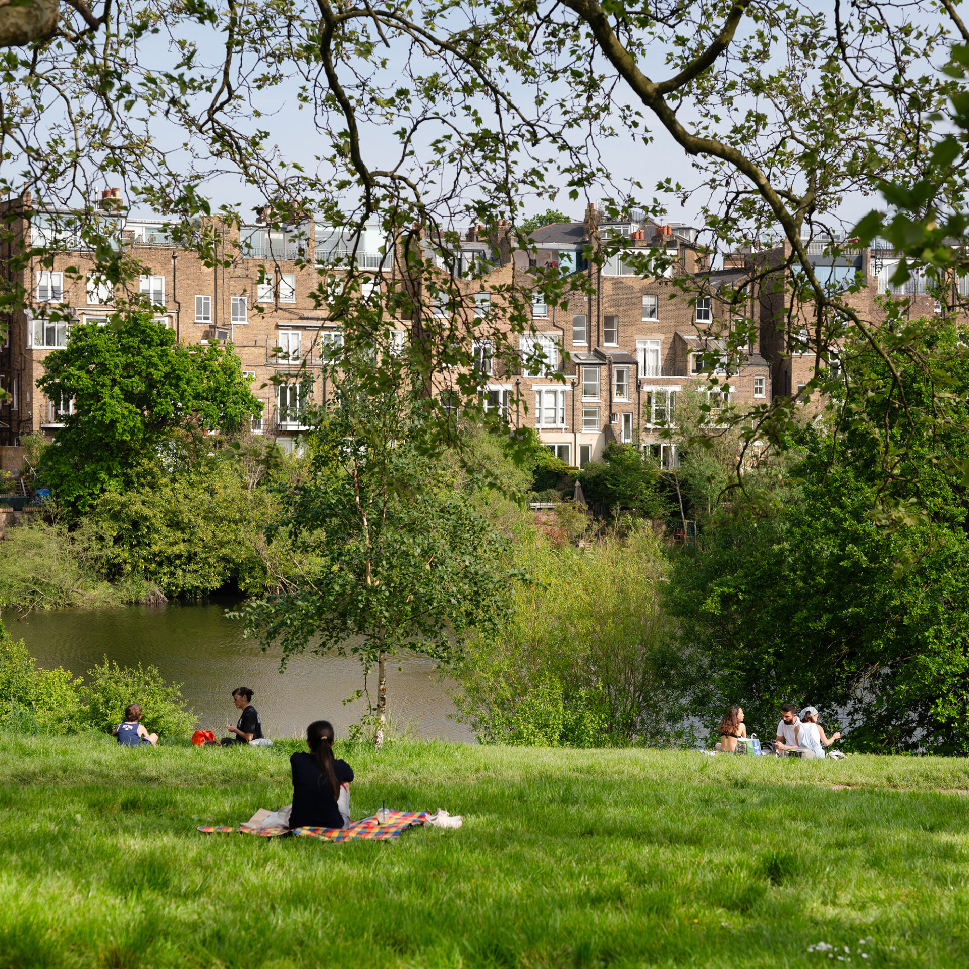 Image of the park